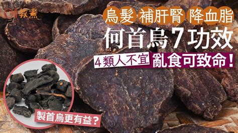 何首烏不能跟什麼一起吃|何首烏功效｜黑髮補肝腎7好處製首烏更有益？4類人不 